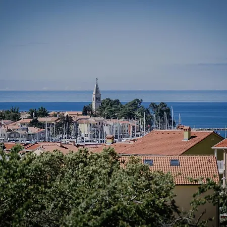 Belvedere Holidays Holiday home *