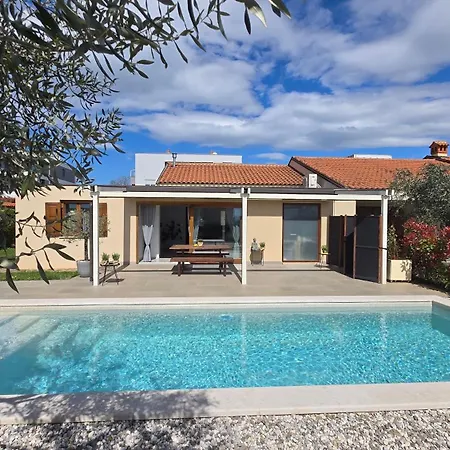 Belvedere Holidays